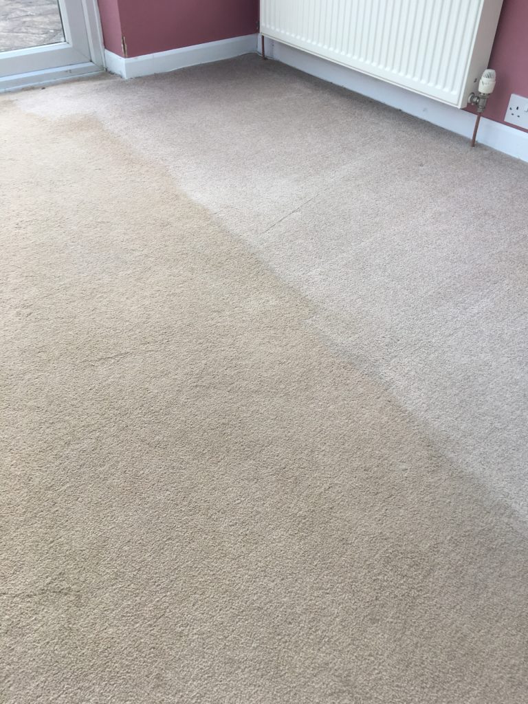 cleaning a heavily dirty synthetic carpet in taunton