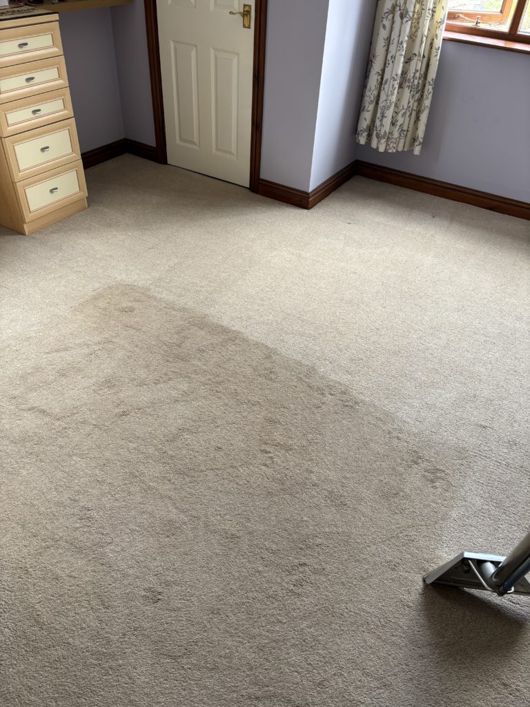 carpet cleaning taunton