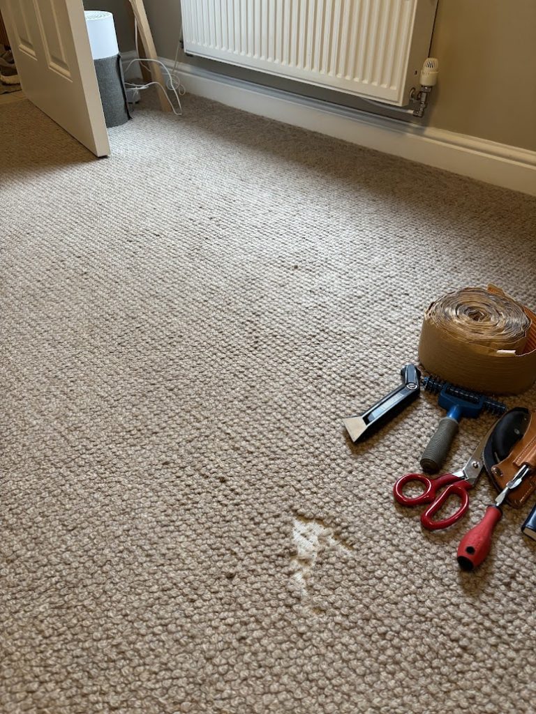 pet damage to a loop carpet in exeter