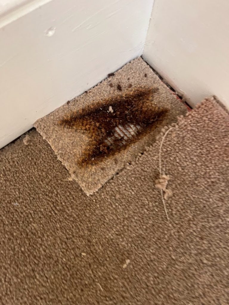 burn in a carpet from hair straighteners
